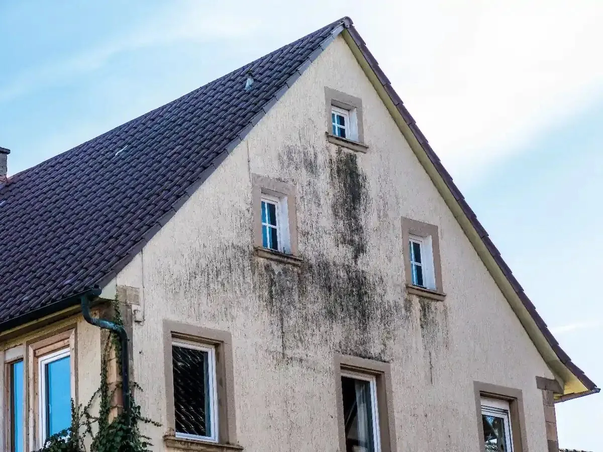 Crépi de façade dans l'Indre-et-Loire