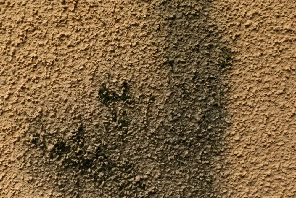 Crépi de façade dans l'Indre-et-Loire